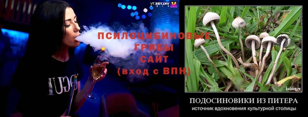 PSILOCYBIN Алзамай